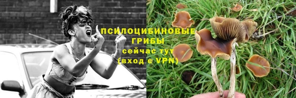 jwh Арсеньев