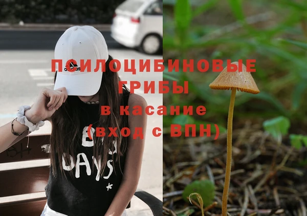 jwh Арсеньев