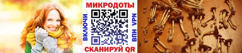 Псилоцибиновые грибы мухоморы  Таруса 